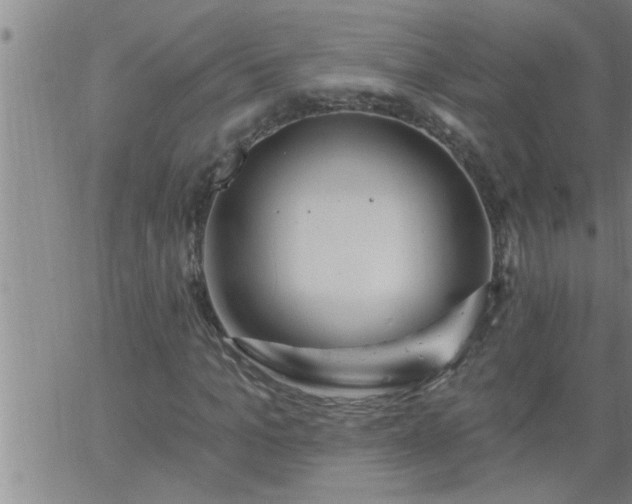 X0000063510965200601271806