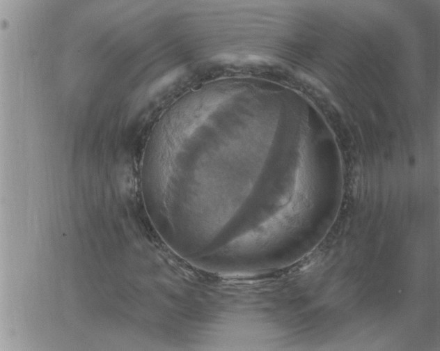 X0000063510966200601271806