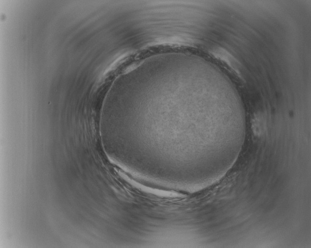 X0000063510968200601271806