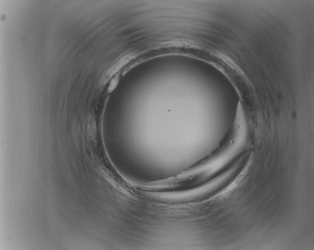 X0000063510969200601271806