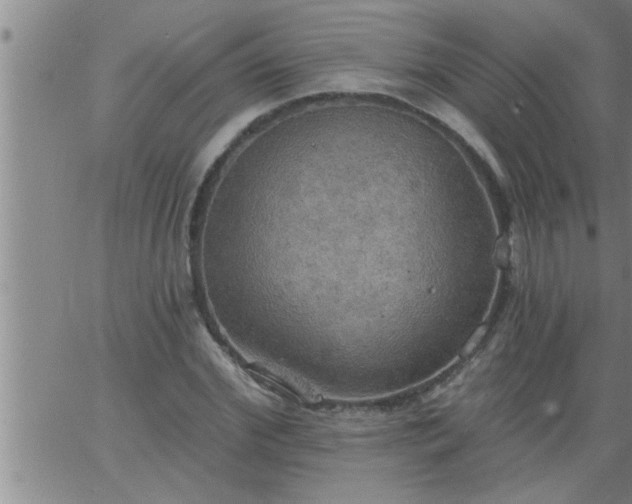 X0000063510972200601271806