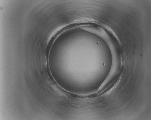 X0000063510973200601271806