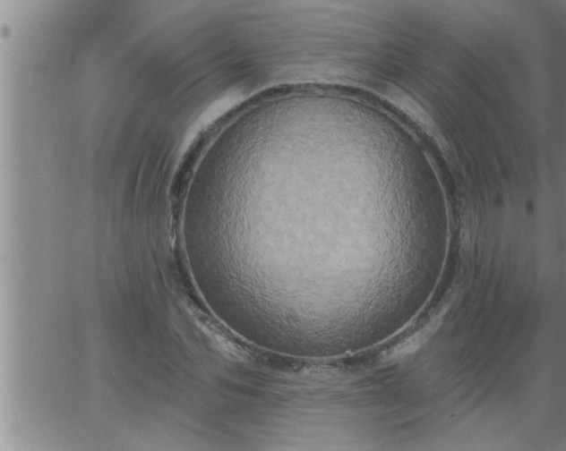 X0000063510974200601271806