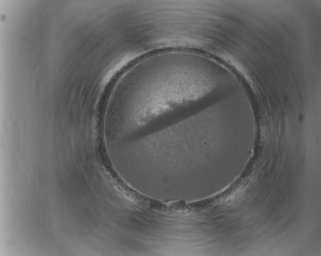 X0000063510975200601271806