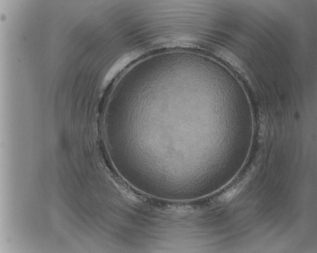 X0000063510978200601271806