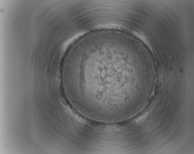 X0000063510979200601271806