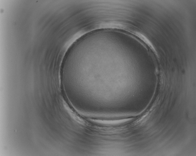 X0000063510980200601271806