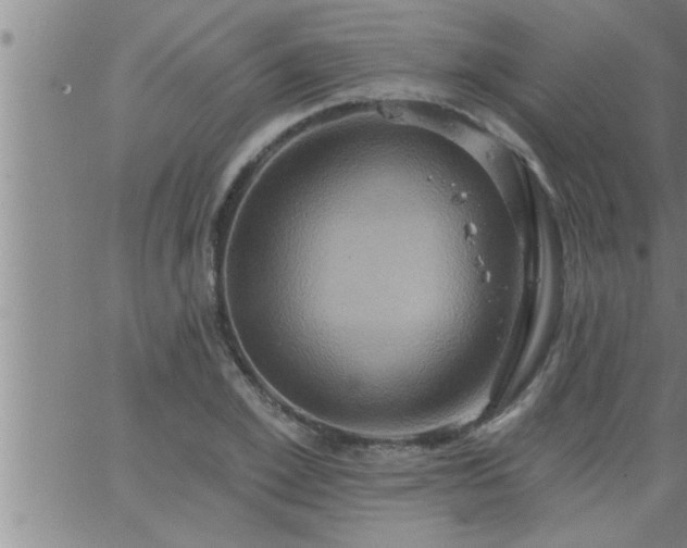 X0000063510981200601271806