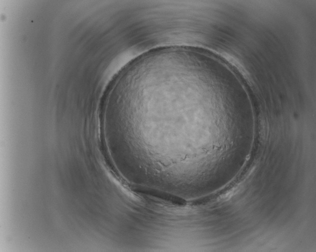 X0000063510982200601271806