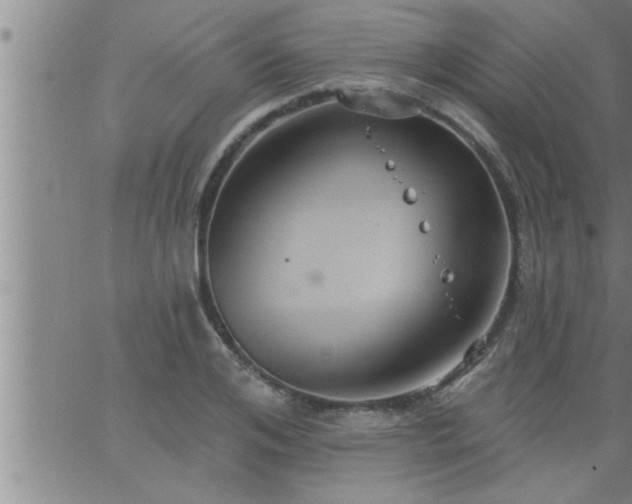 X0000063510984200601271806