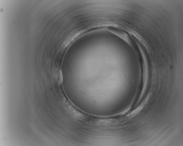 X0000063510985200601271806