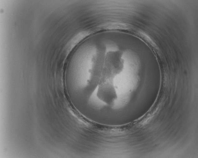 X0000063510986200601271806