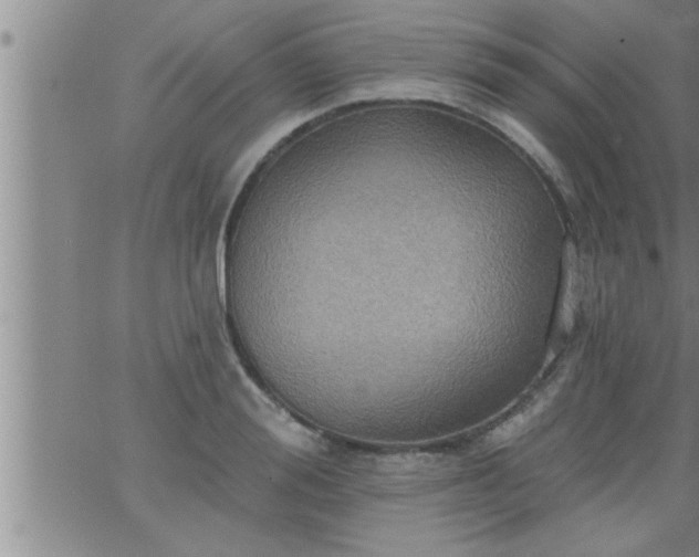 X0000063510988200601271806