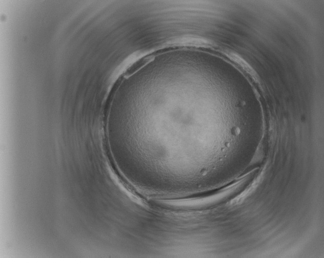 X0000063510989200601271806