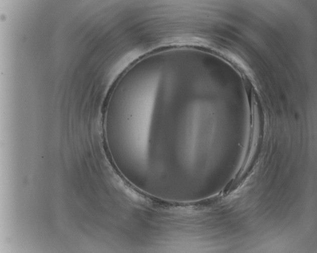 X0000063510990200601271806