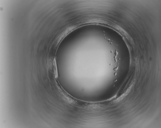 X0000063510993200601271806