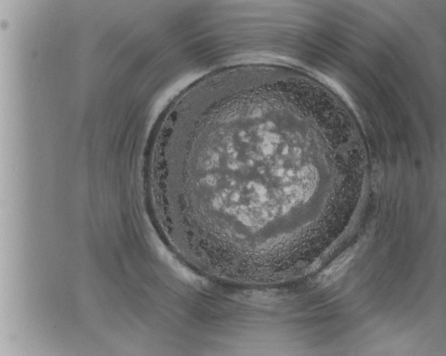 X0000063510995200601271806