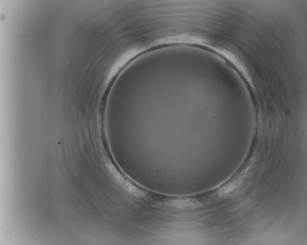 X0000063510998200601271806