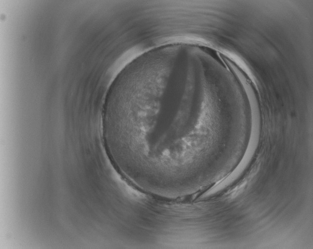 X0000063510999200601271806