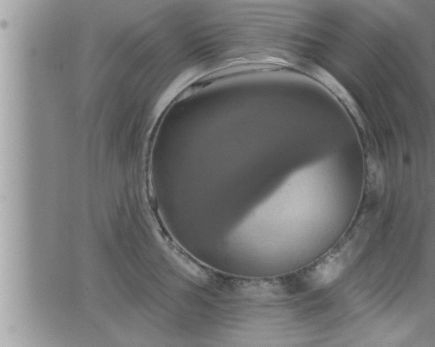 X0000063511002200601271806