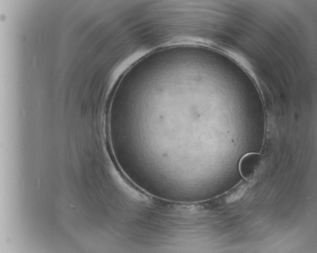 X0000063511003200601271806