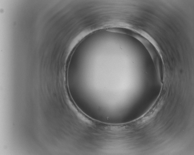 X0000063511005200601271806