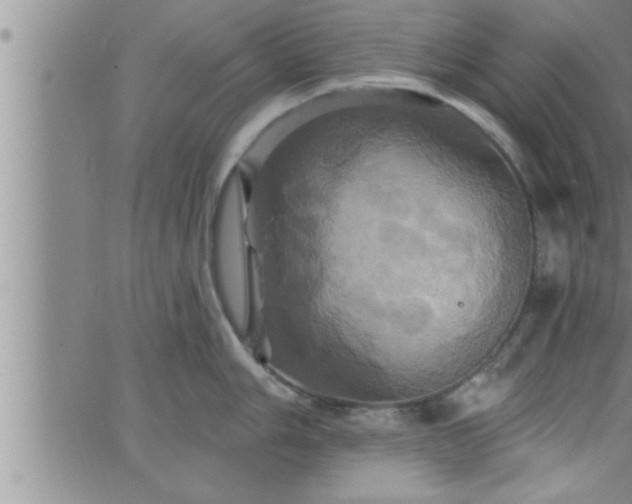 X0000063511006200601271806