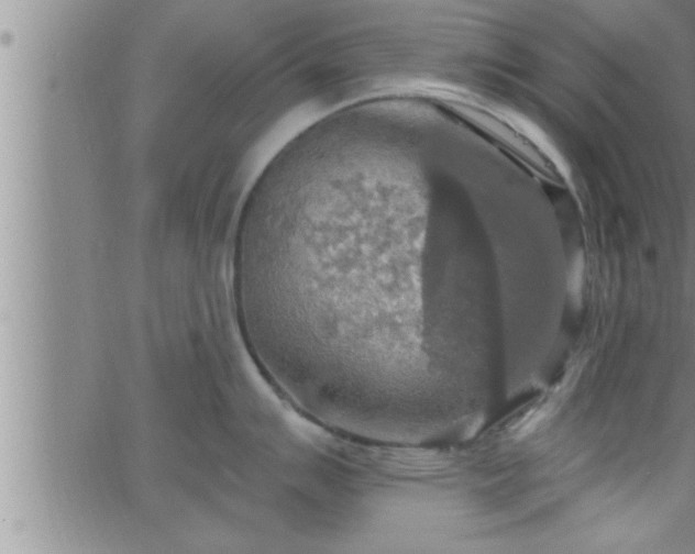 X0000063511007200601271806