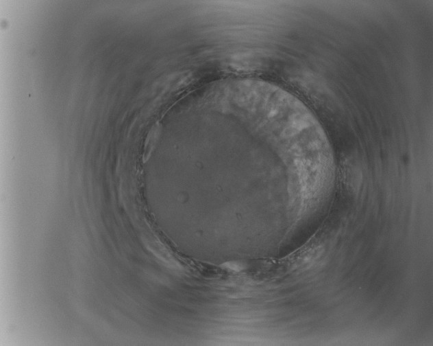 X0000063511009200601271805