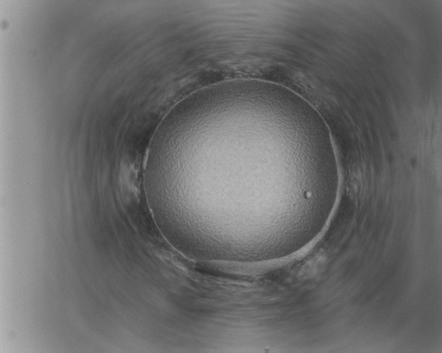 X0000063511010200601271805