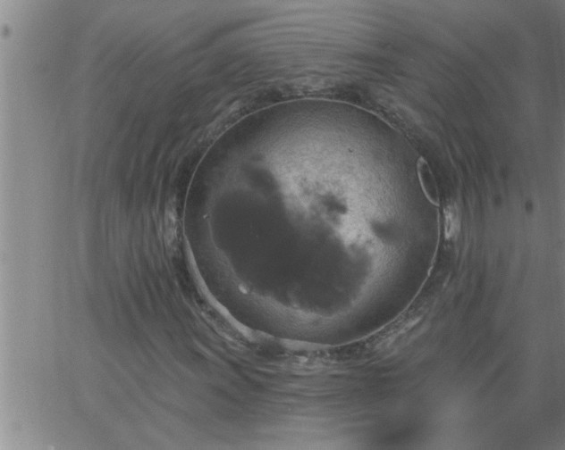 X0000063511011200601271805