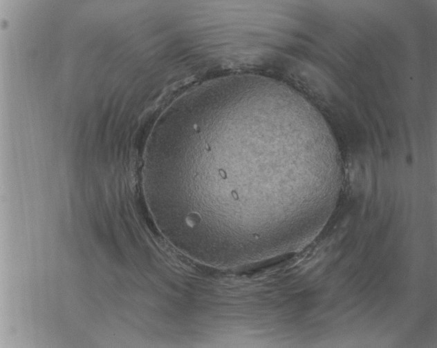 X0000063511012200601271805