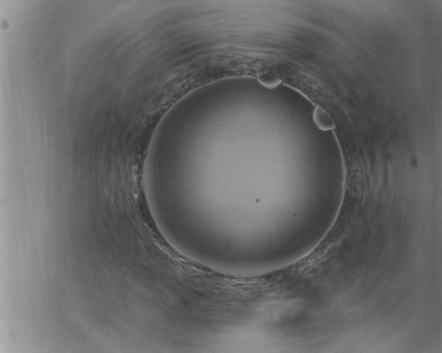 X0000063511013200601271805