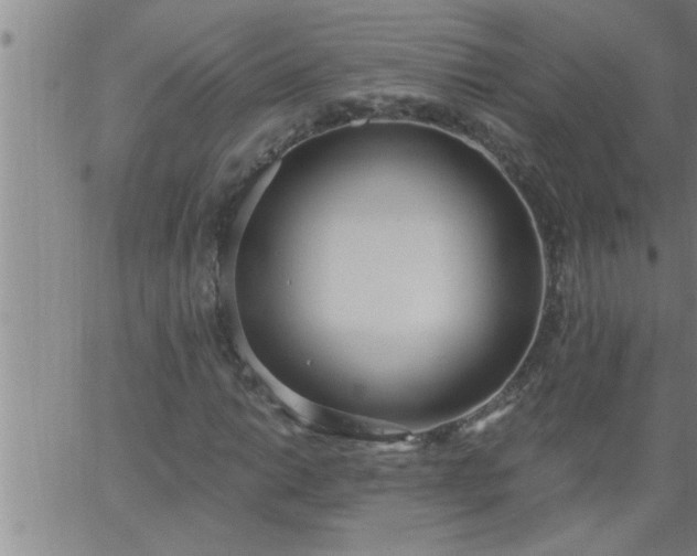 X0000063511014200601271805