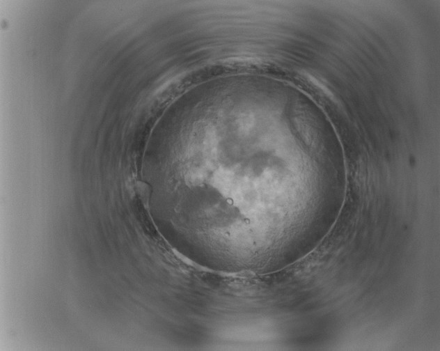 X0000063511015200601271805