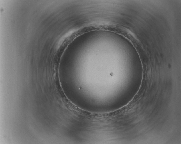 X0000063511016200601271805