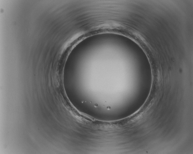 X0000063511018200601271805