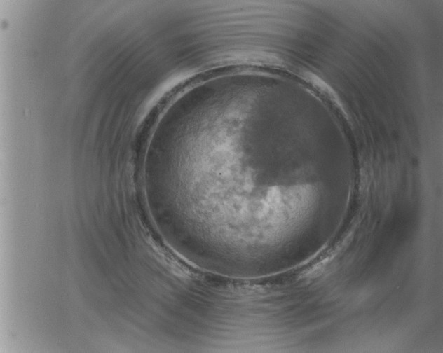 X0000063511019200601271805