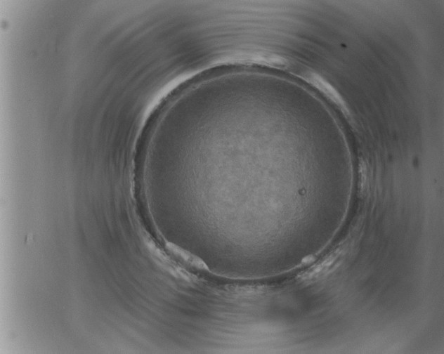 X0000063511020200601271805