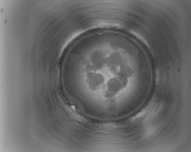 X0000063511021200601271805