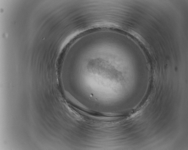 X0000063511022200601271805