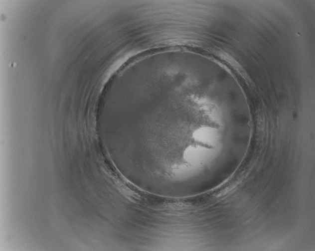 X0000063511023200601271805