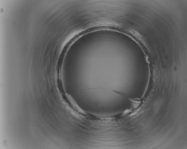 X0000063511024200601271805