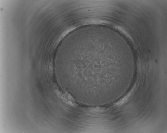 X0000063511025200601271805