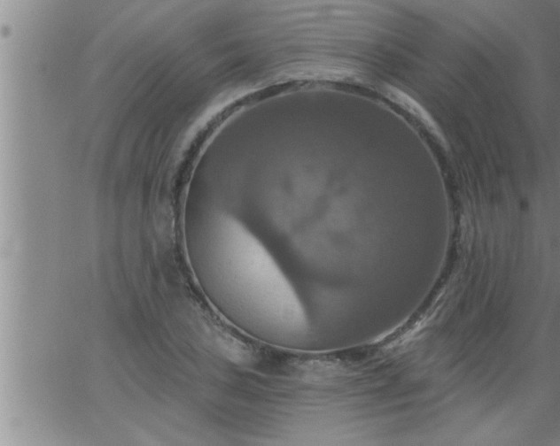 X0000063511027200601271805