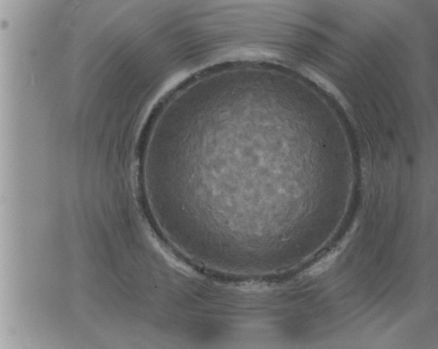 X0000063511029200601271805