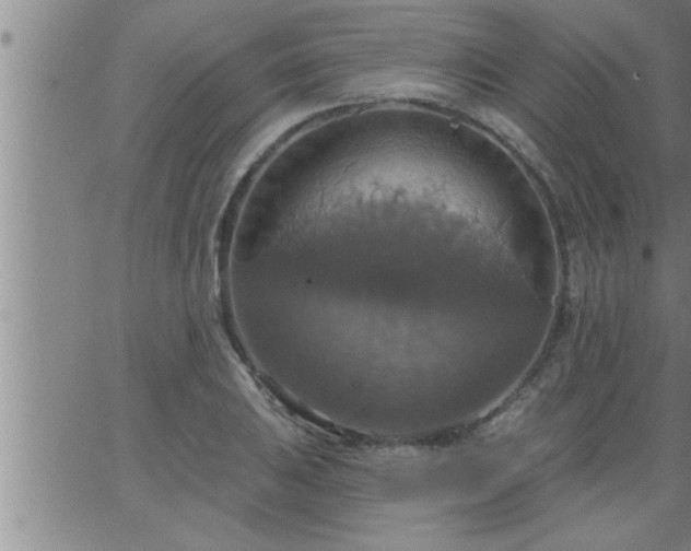 X0000063511031200601271805