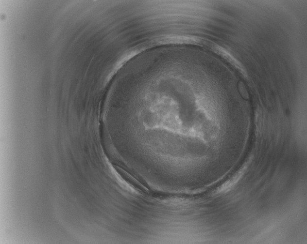 X0000063511033200601271805