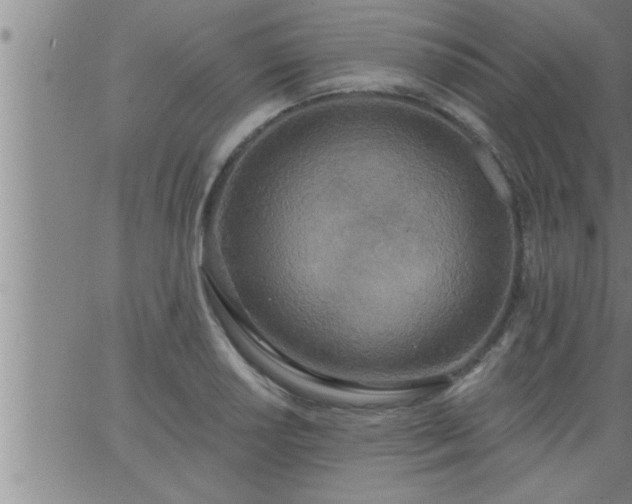 X0000063511034200601271805