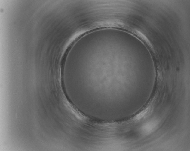 X0000063511035200601271805